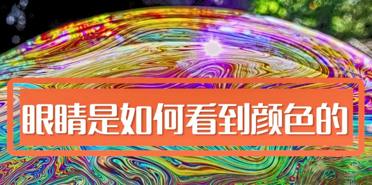 人类是如何看颜色的，影响人眼分辨颜色的因素有哪些?